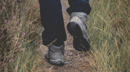WANDELING IN DE GENTBRUGSE MEERSEN